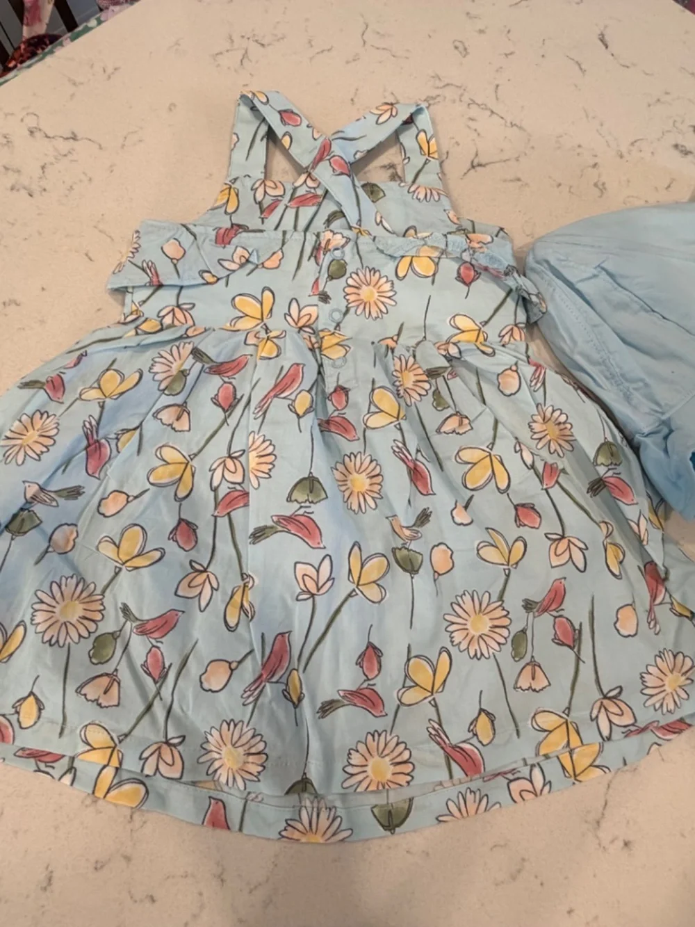 Carter’s Spring Dress (Light Blue Flora: 3pc)